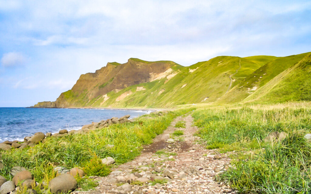 礼文島の海岸沿いを歩きます。ひたすら南に歩き、ゴールである桃岩荘を目指します。