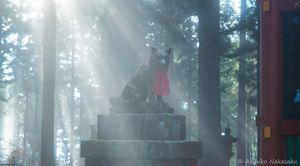 三峯神社さんの随身門のお犬さま