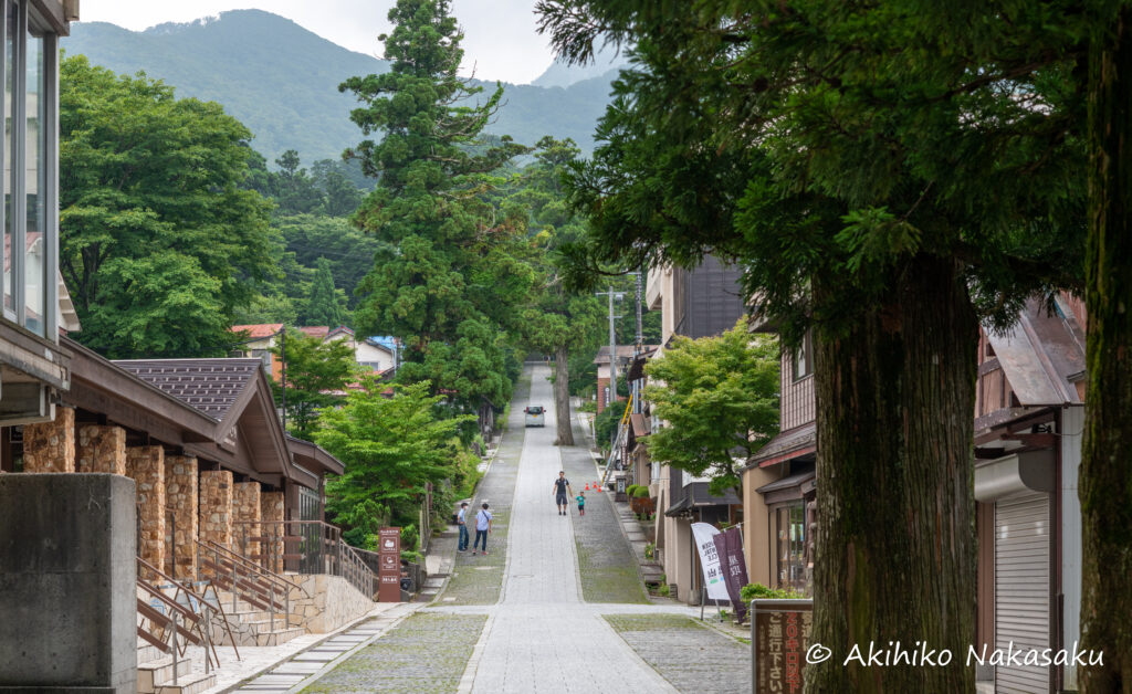 鳥取大山のふもと、バス停大山寺を下車。すぐ前にメインストリートがあります。